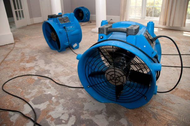  Kimball, TN Water damage restoration Pros